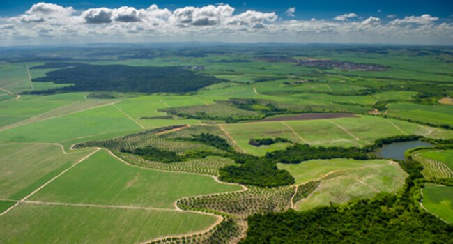 landscape goiana brazil