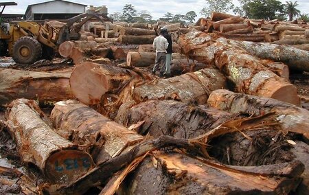 Evaluation of the FLEGT/VPA Legality Assurance Scheme