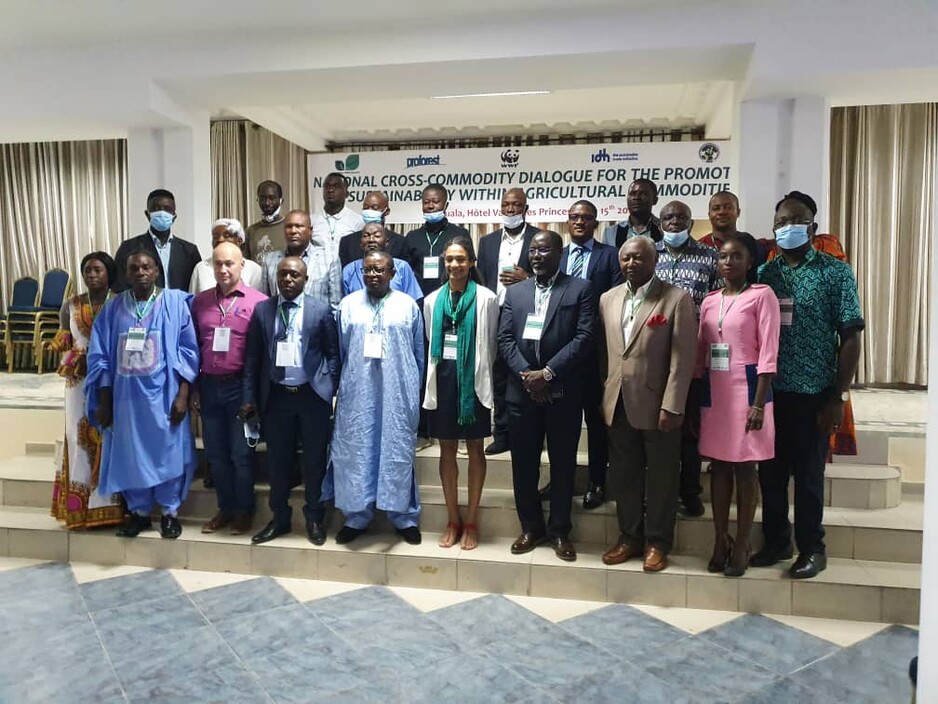 Cameroon creates national platform to govern the sustainable development of palm oil