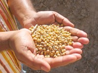 Proforest joins annual conference on responsible soy