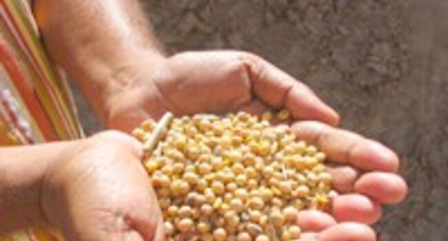 Proforest joins annual conference on responsible soy
