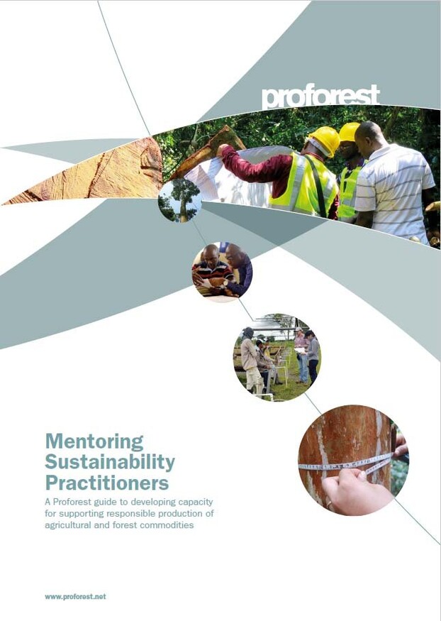 Mentoring Sustainability Practitioners