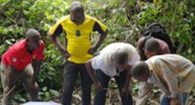 Success for Africa Practitioners Network alumni and partners