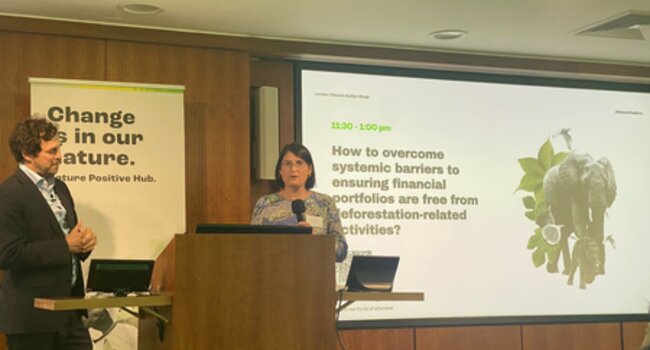 Leading experts unite to strengthen finance sector engagement on deforestation