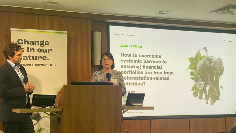 Los principales expertos se unen para reforzar el compromiso del sector financiero con la lucha contra la deforestación