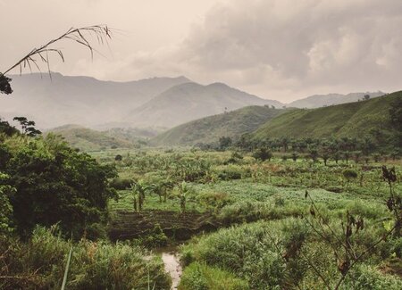 Proforest supports Corrie MacColl Limited in improving its sustainability performance