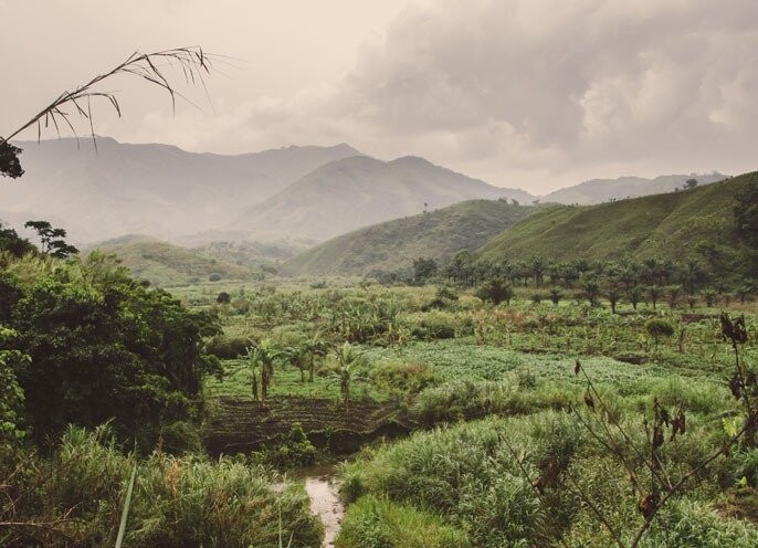 Proforest apoya a Corrie MacColl Limited en la mejora de su desempeño en sostenibilidad