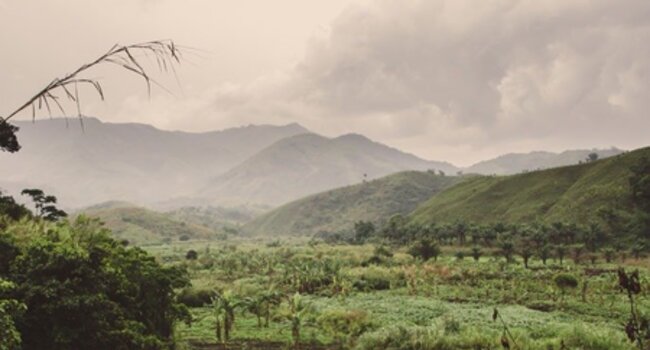 Proforest supports Corrie MacColl Limited in improving its sustainability performance