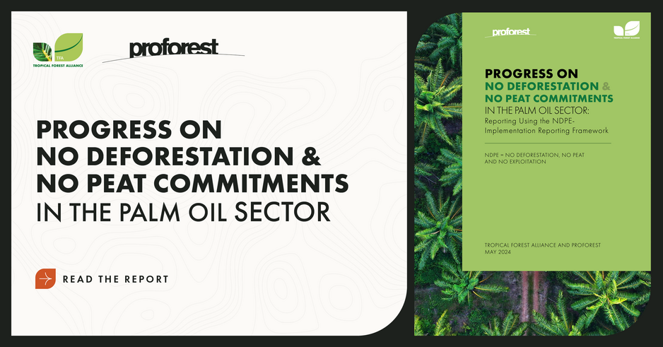 Progress on No-deforestation and No-peat commitments in the Palm Oil Sector