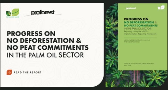 Progress on No-deforestation and No-peat commitments in the Palm Oil Sector