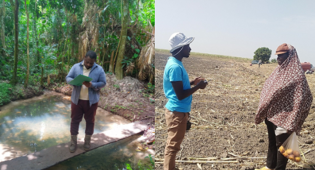 Proforest expands its Lead Assessor capabilities for HCV and HCS assessments in Africa