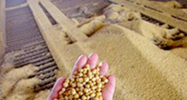 Bridging the gap: new coalition links soy buyers with on-the-ground initiatives to tackle deforestation