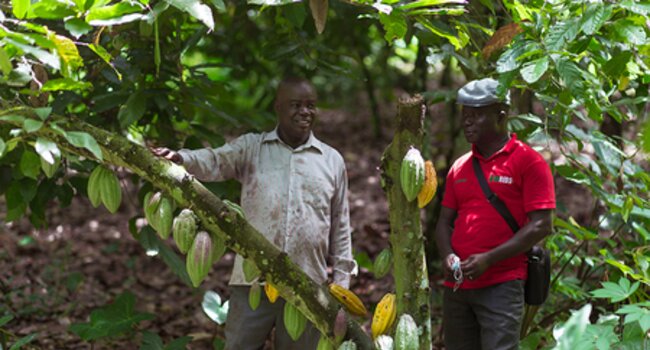 The Asunafo Asutifi Landscape Programme