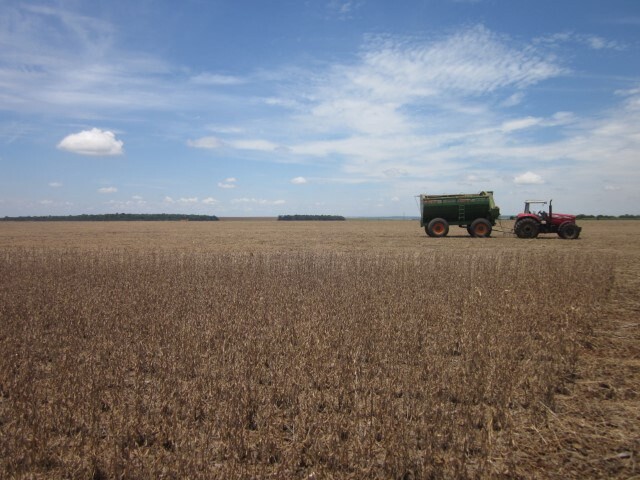 Supporting legal compliance and zero deforestation in Brazil