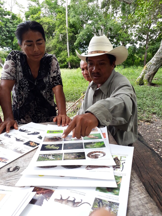 Proforest launches Agrovita with PepsiCo Mexico and PepsiCo Foundation