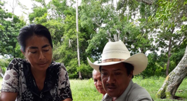 Proforest launches Agrovita with PepsiCo Mexico and PepsiCo Foundation