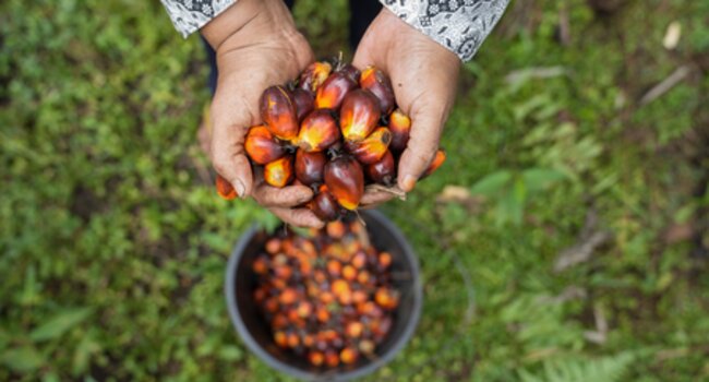 Green Supply Chain Best Practices and Promotion Mechanism