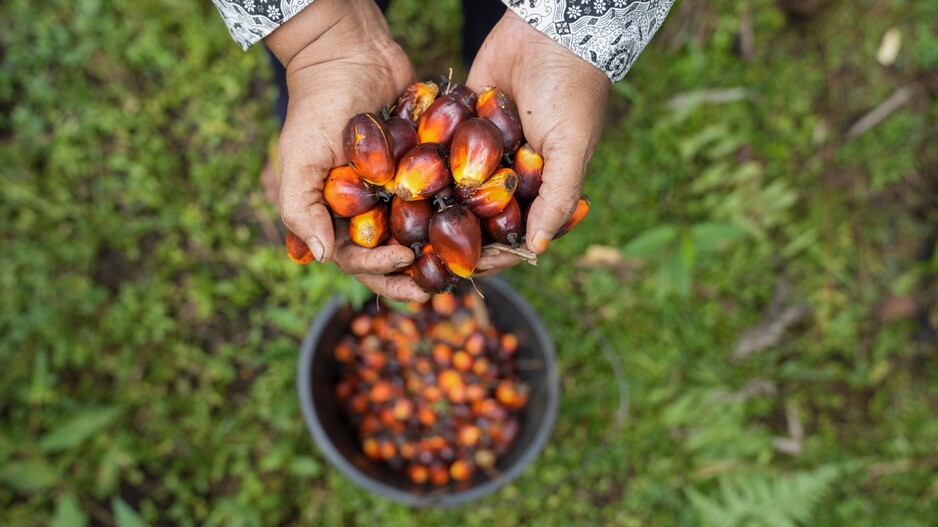 Green Supply Chain Best Practices and Promotion Mechanism