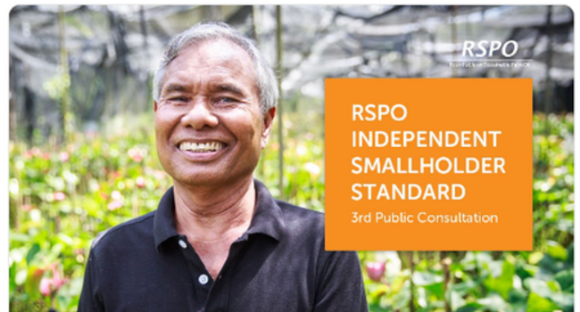 RSPO Independent Smallholder Standard enters second public consultation phase