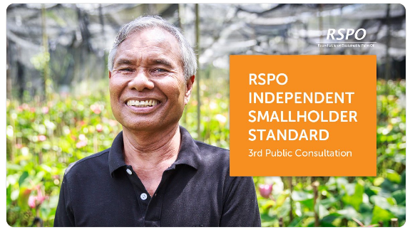 RSPO Independent Smallholder Standard enters second public consultation phase