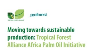 Moving towards sustainable production: the Africa Palm Oil Initiative impact report