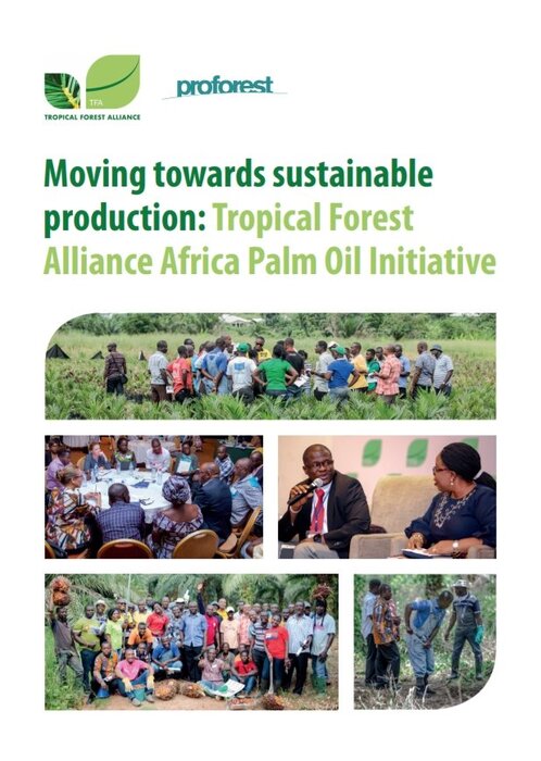 Moving towards sustainable production: the Africa Palm Oil Initiative impact report