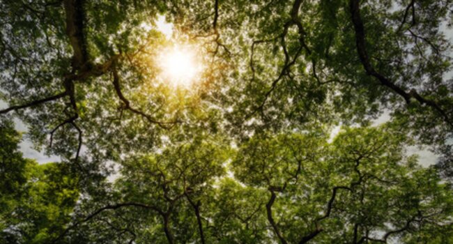 Climate Action Innovation Zone