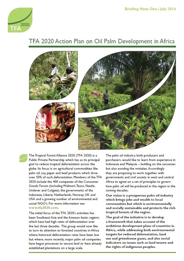 Africa Palm Oil Initiative briefing 1: Action Plan on Oil Palm Development in Africa