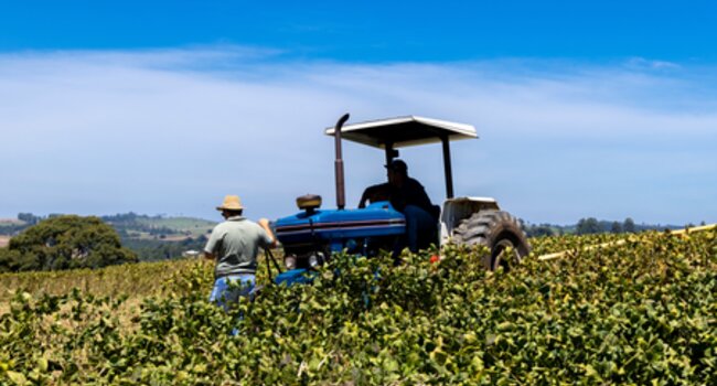 Impactful emission targets: building resilience through forest, land, and agriculture action