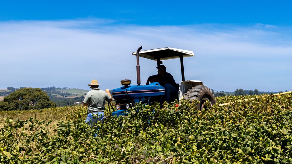 Objetivos de emisiones impactantes: aumentar la resiliencia mediante la acción forestal, terrestre y agrícola