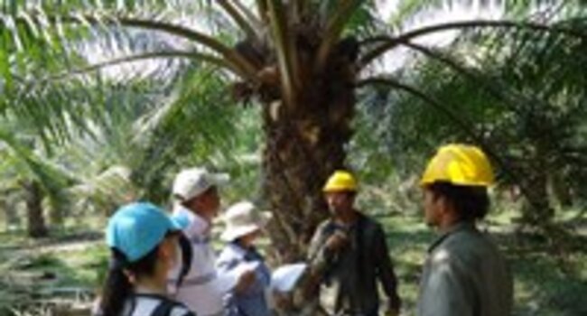 RSPO-endorsed training course to take place in Ecuador