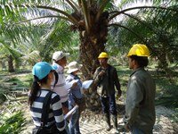 RSPO-endorsed training course to take place in Ecuador