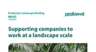 Supporting companies to work at a landscape scale