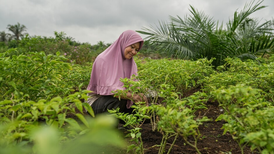 Understanding company action in landscape and jurisdictional approaches (podcast)