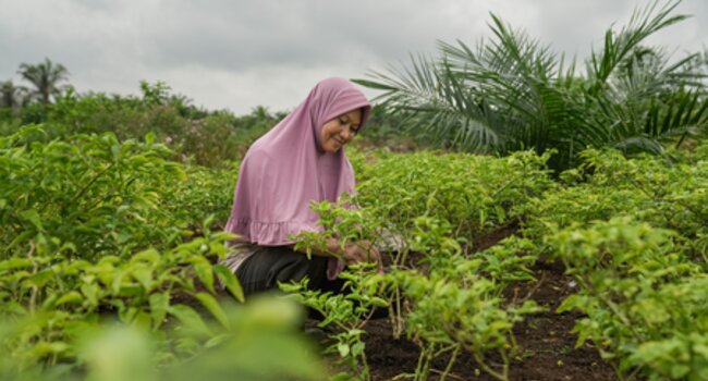 Understanding company action in landscape and jurisdictional approaches (podcast)