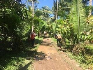 Supporting climate change mitigation through supply chain action on deforestation: work starts in Peru