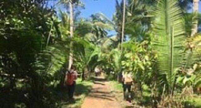 Supporting climate change mitigation through supply chain action on deforestation: work starts in Peru