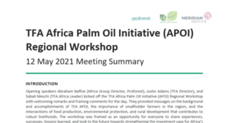 Africa Palm Oil Initiative 2021 regional meeting: progress updates and looking ahead to COP26