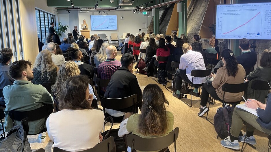 Nature & Biodiversity Peer Group Strategy Days