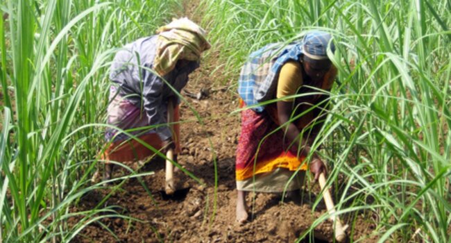 Bonsucro Global Week 2026 (Postponed)