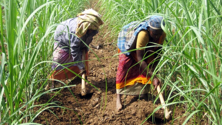 Bonsucro Global Week 2026 (Postponed)