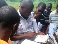 Verifying timber legality in practice