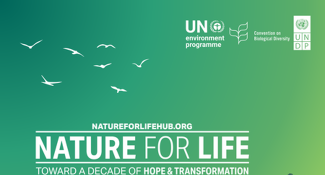 Proforest at The Nature for Life Hub 2024