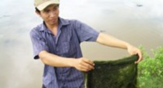 Draft standard for sustainable algae production to be discussed
