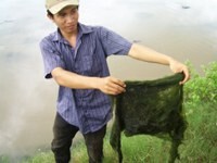 Draft standard for sustainable algae production to be discussed