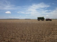 NGOs and private sector respond to proposed extension of CAR deadline in Brazil