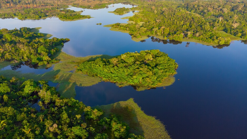 Jurisdictional Approaches: Concepts and Experiences in Brazil