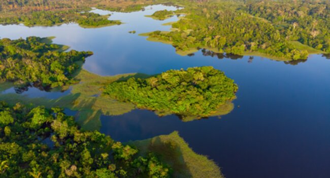 Jurisdictional Approaches: Concepts and Experiences in Brazil