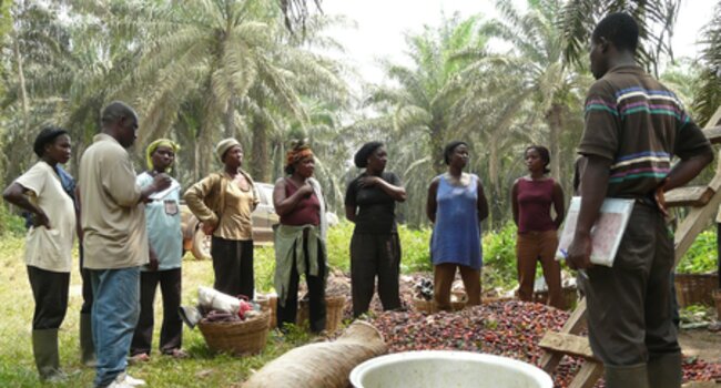 Delivering training and guidance on Free, Prior, Informed Consent