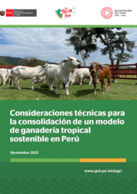 Consideraciones técnicas para la consolidación de un modelo de ganadería tropical sostenible en Perú 